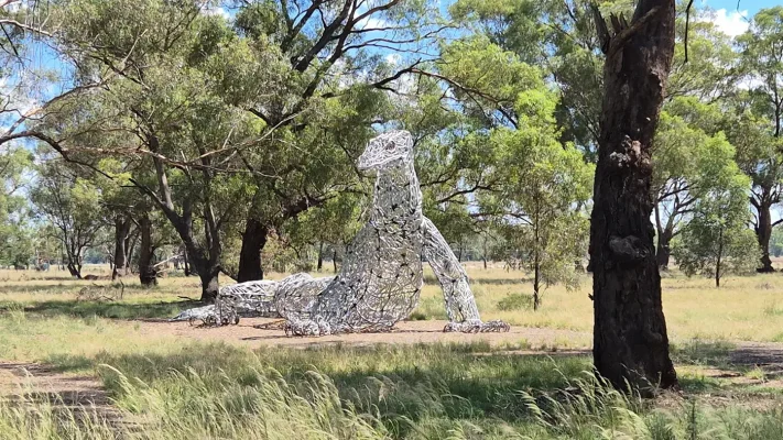Preventative Maintenance for X-Ray Systems near the Lachlan River