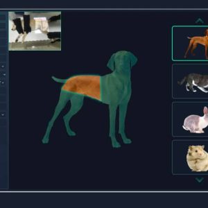 Vet X-ray System Region Selection