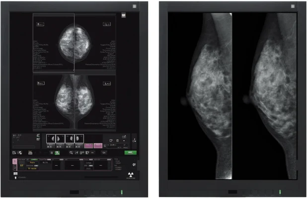 Fuji Amulet Sophinity